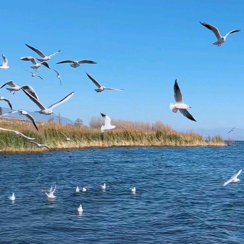 ♀沵辶不洧遺憾ロ馬♀