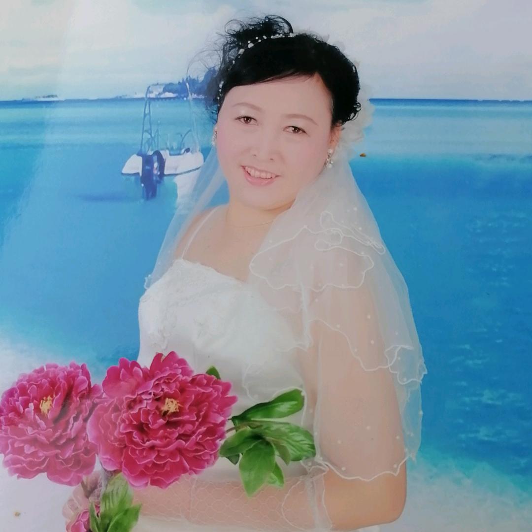 菊