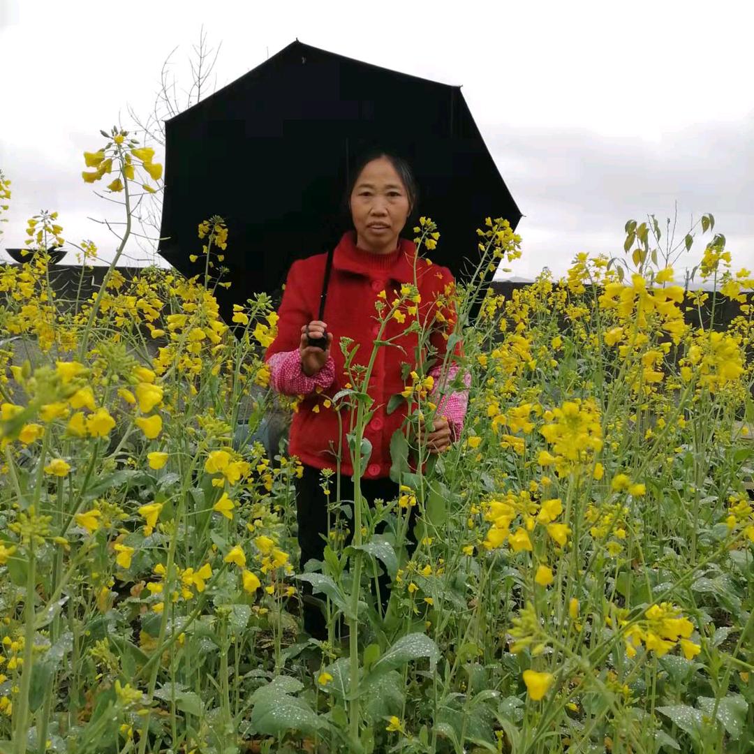 刘廷会