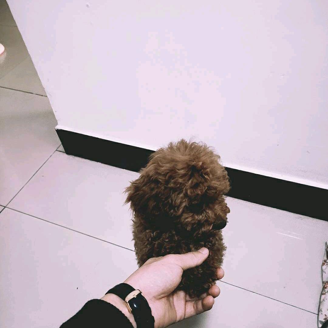 久伴