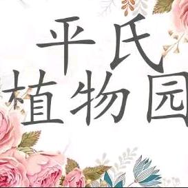 花卉批发
