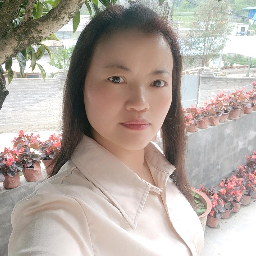 我是你四姐