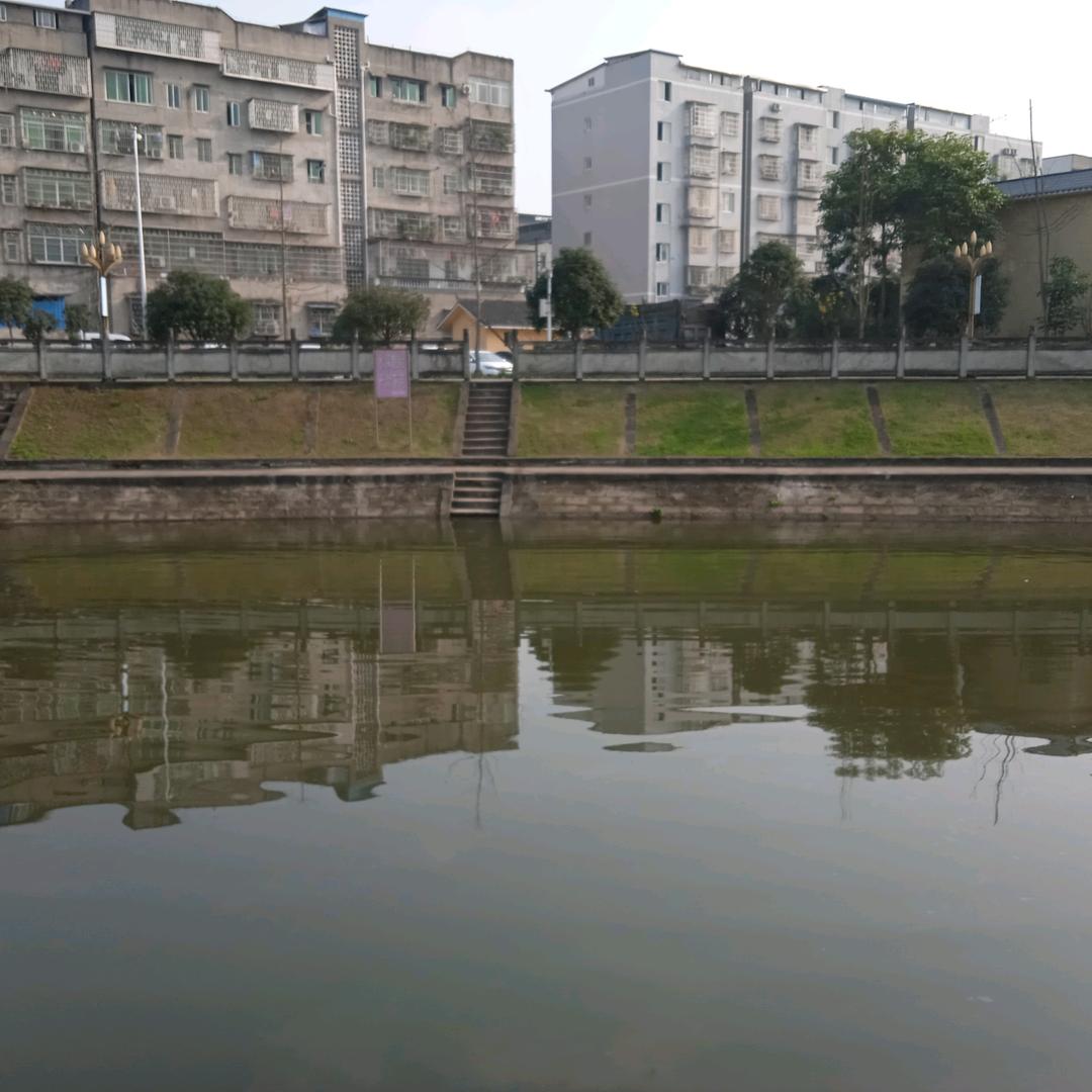 手机用户73261912520