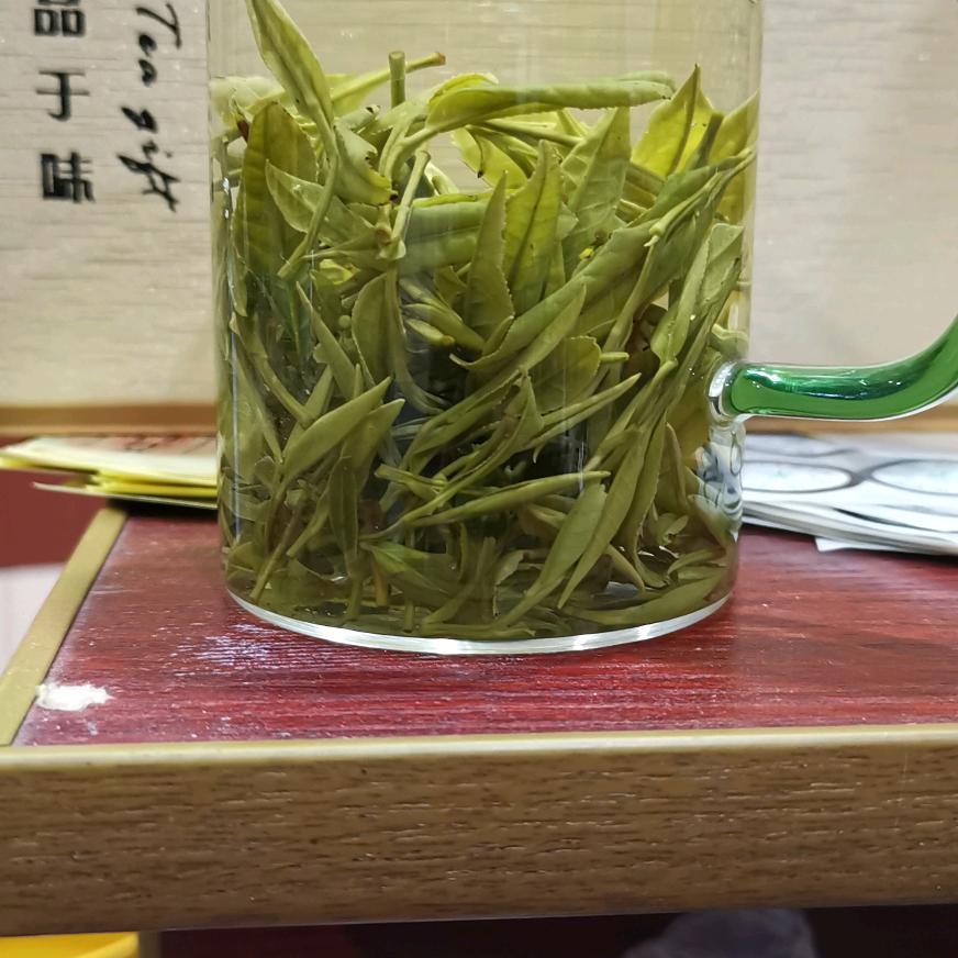 起航🐴