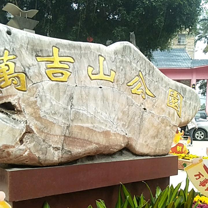 莲花