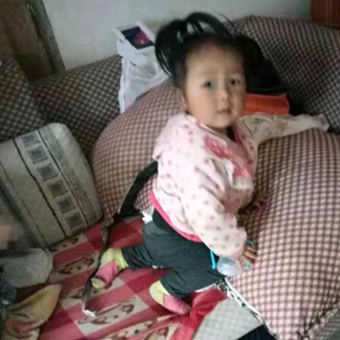 用户2699809217386