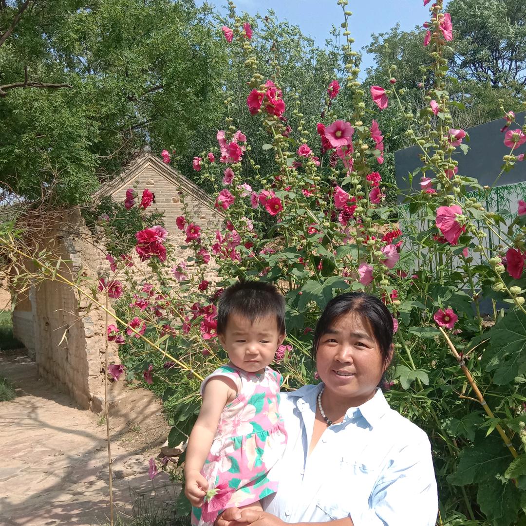 凡花十里(不定时开播)