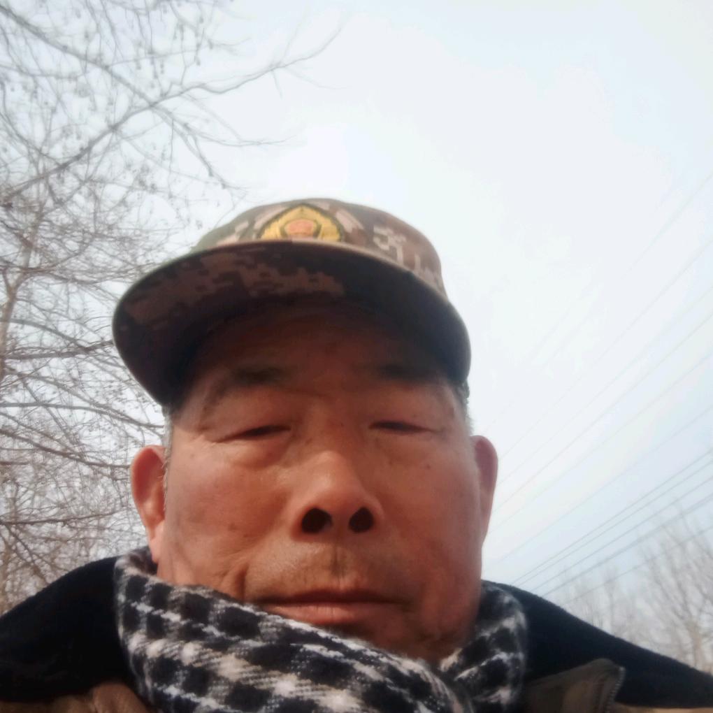 要学那泰山顶上一青松