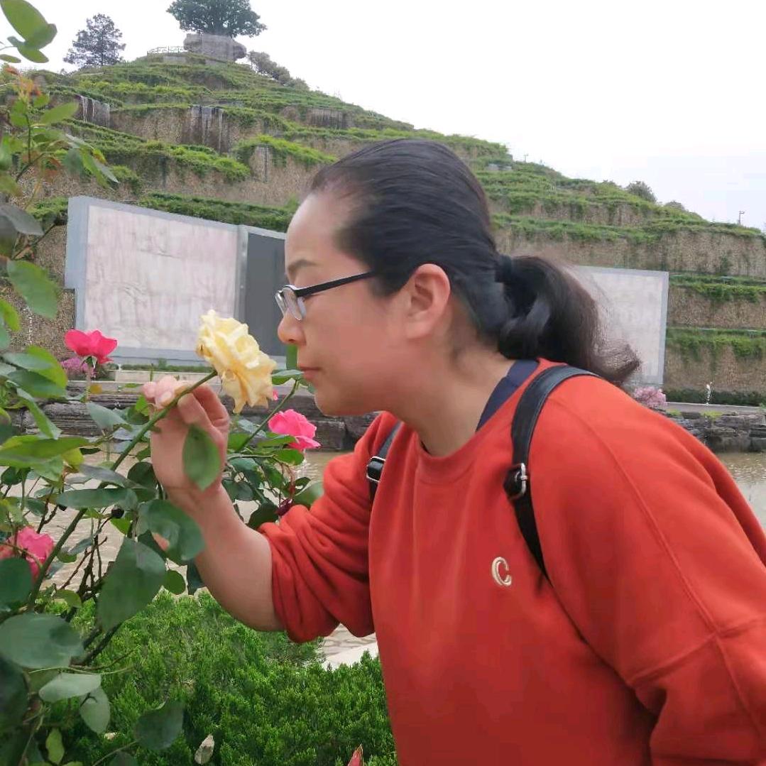 刘宸序（刘丰丽）