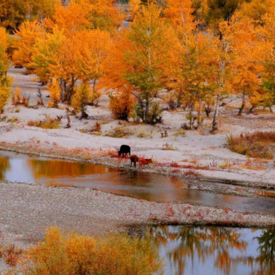 搬砖小武哥kmy国际轻奢瓷砖