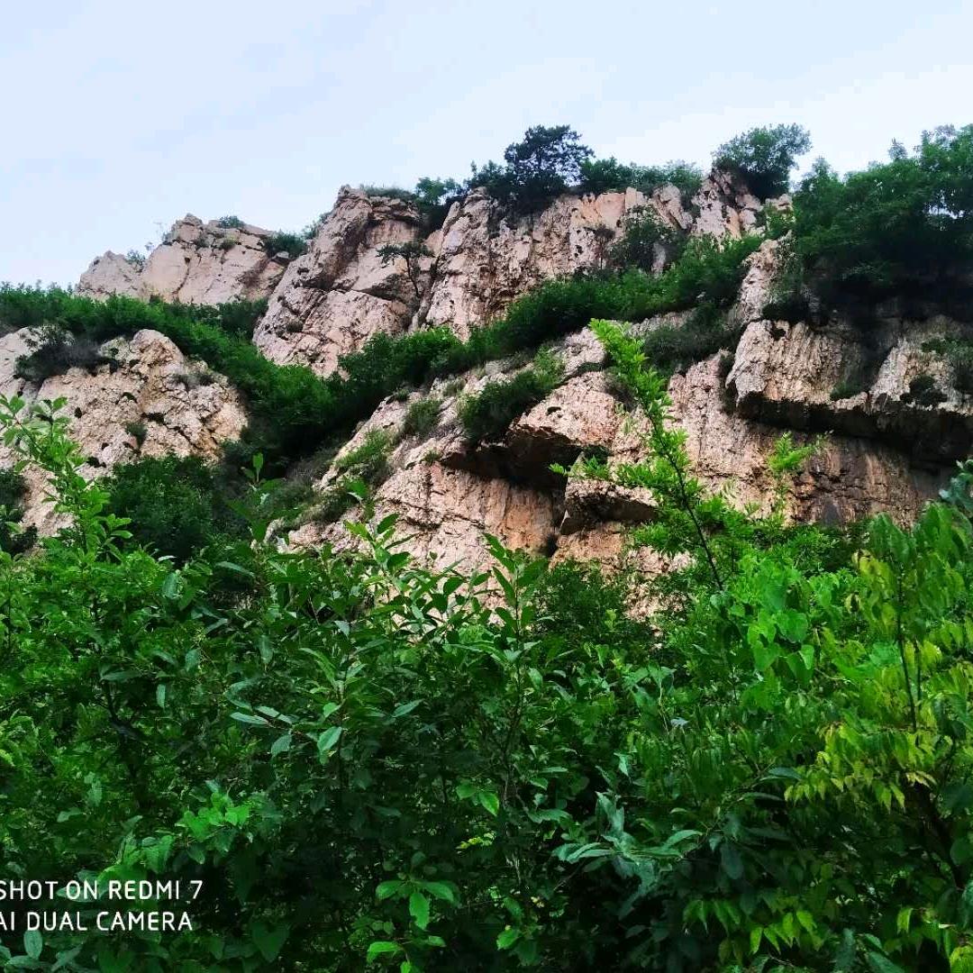 知足娥（拒加微）