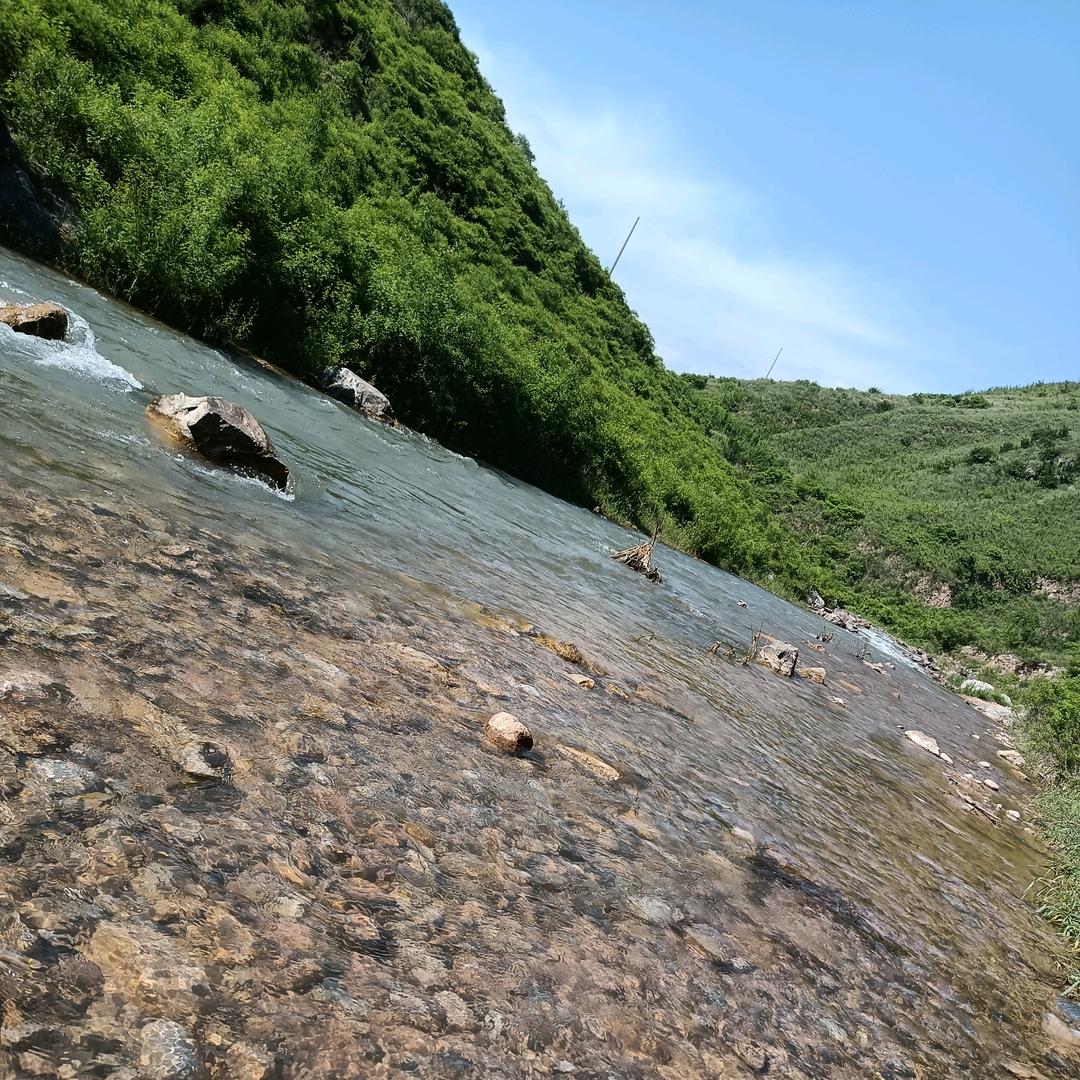 大槐树烧烤（广场南路摩卡思想家）