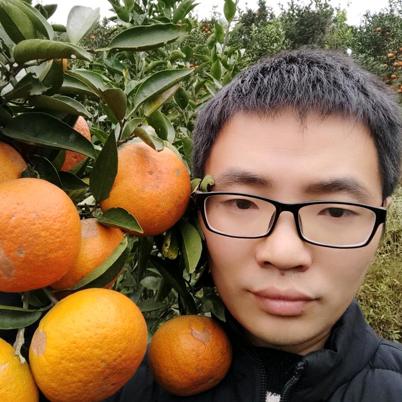 罗老实园艺