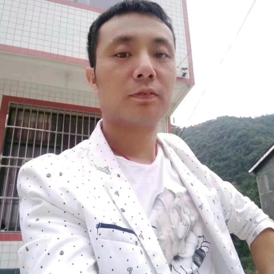 夜的曙光♿️（杨毛毛）