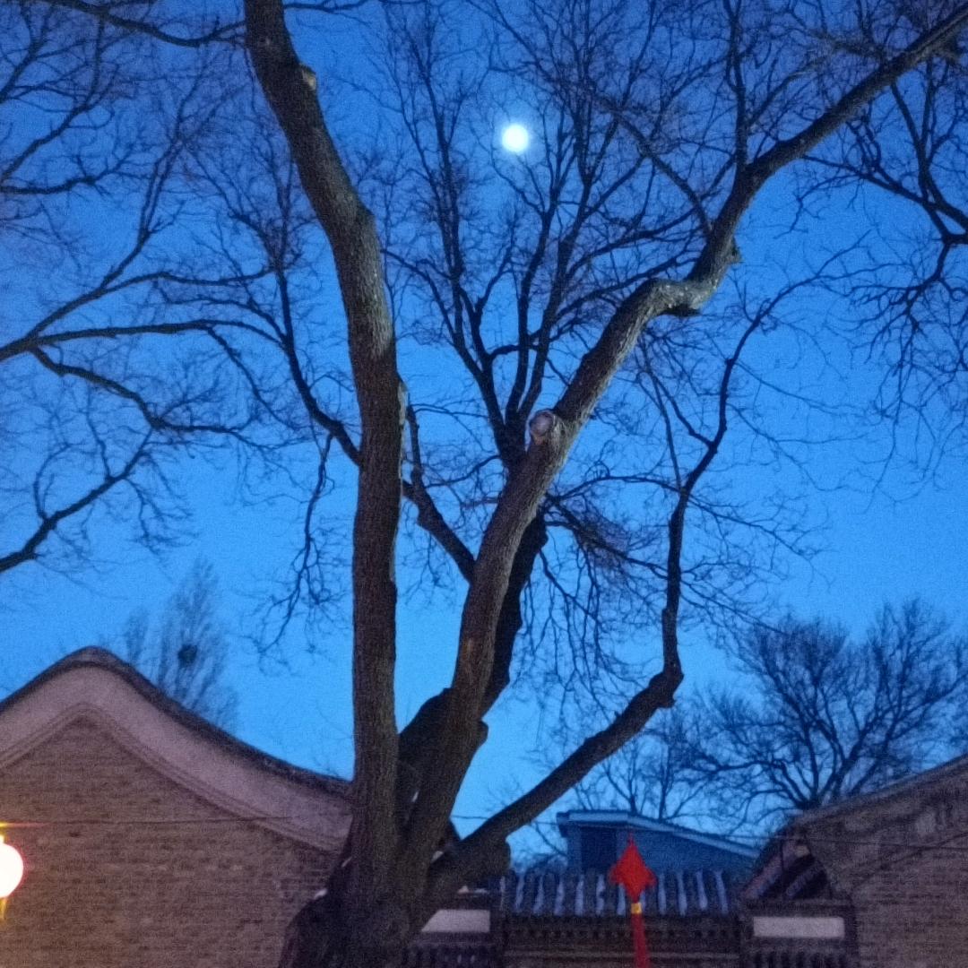 麦田风笛寄乡心