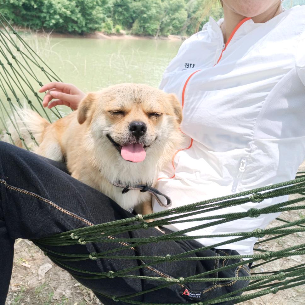 我叫美羊羊公主殿下