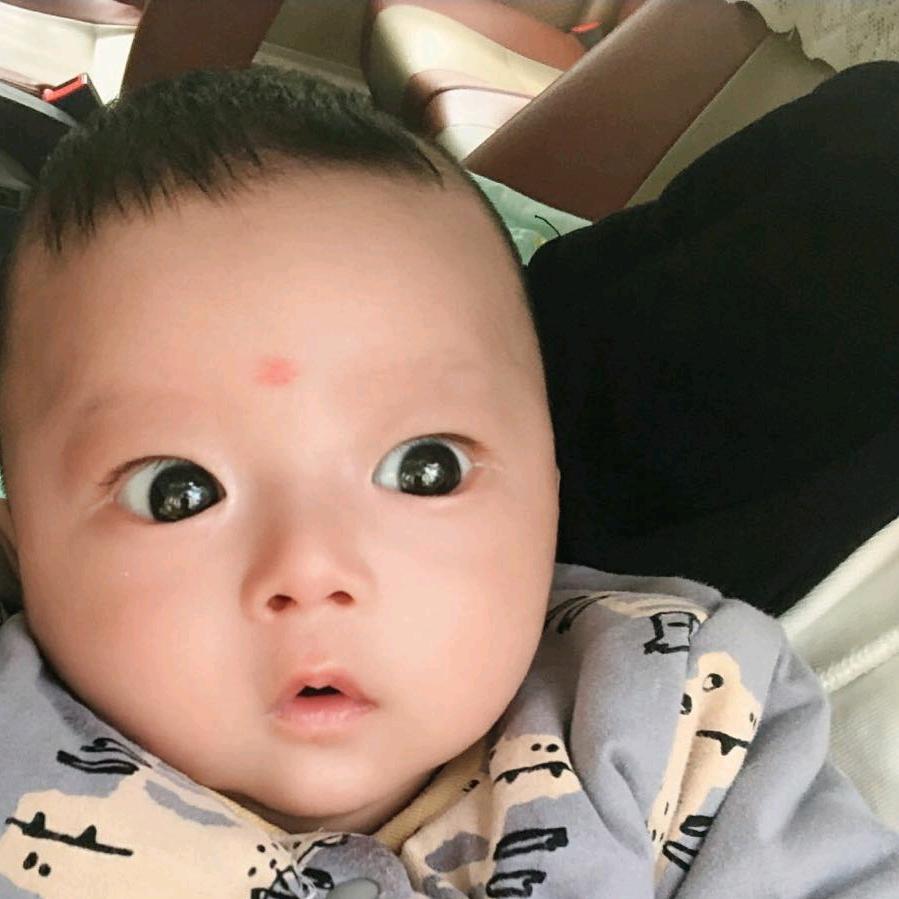 木易杨