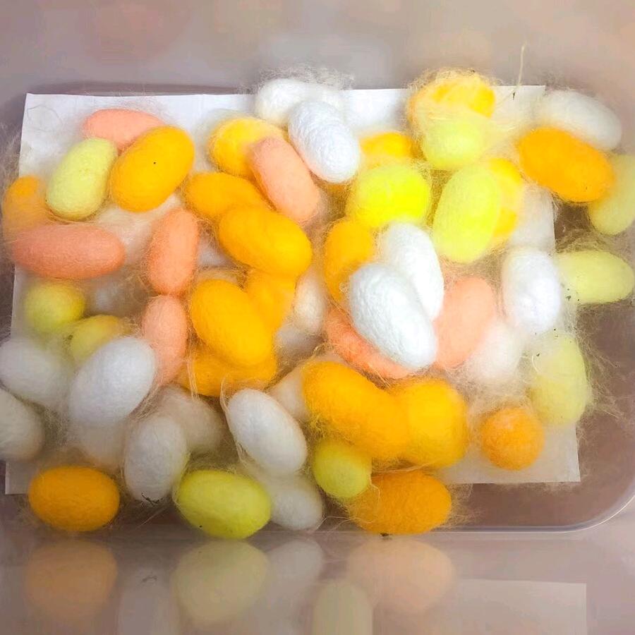 蚕桑小镇