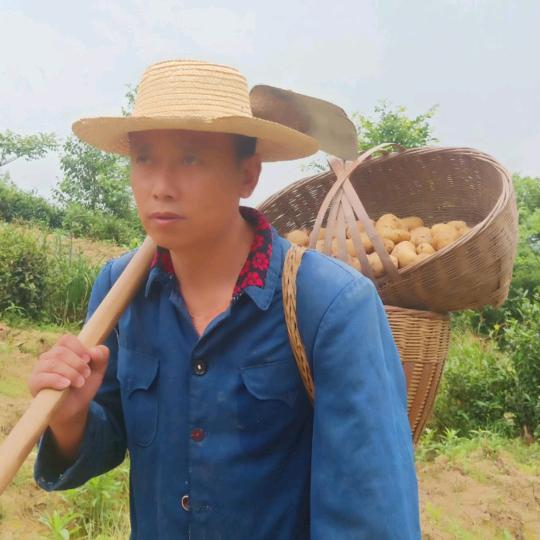 老实哥一家人