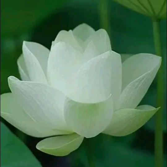 晚秋