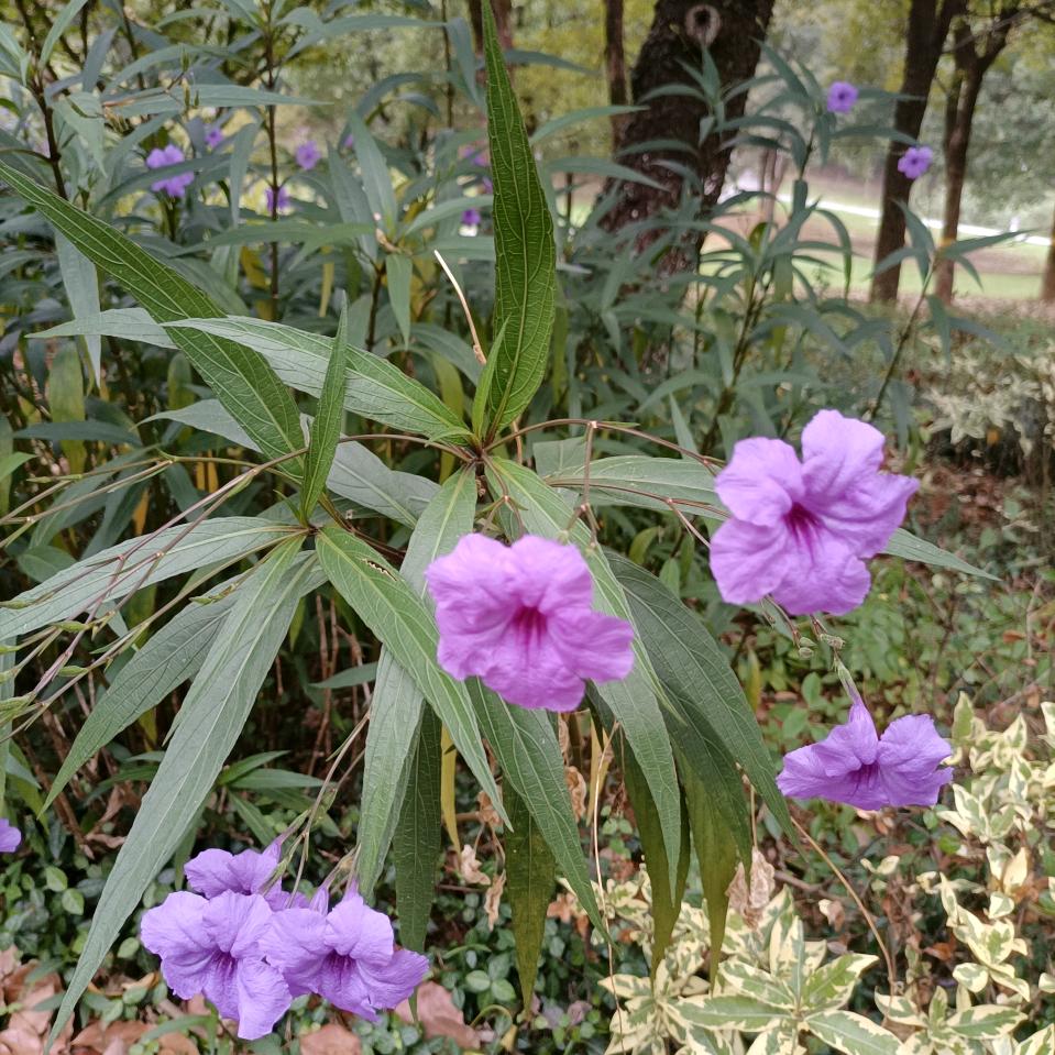 用户7216793636913