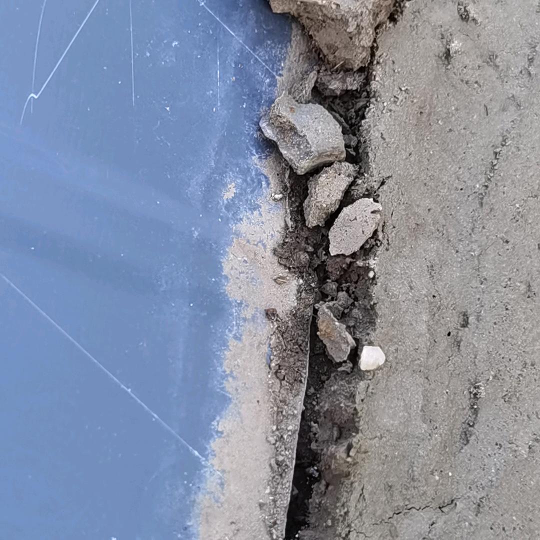 莲