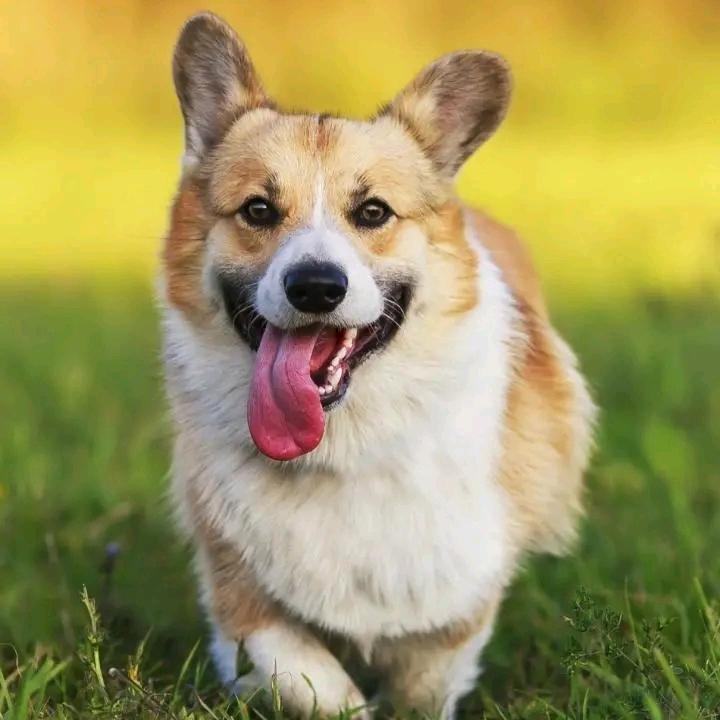 阳光小六子✌️