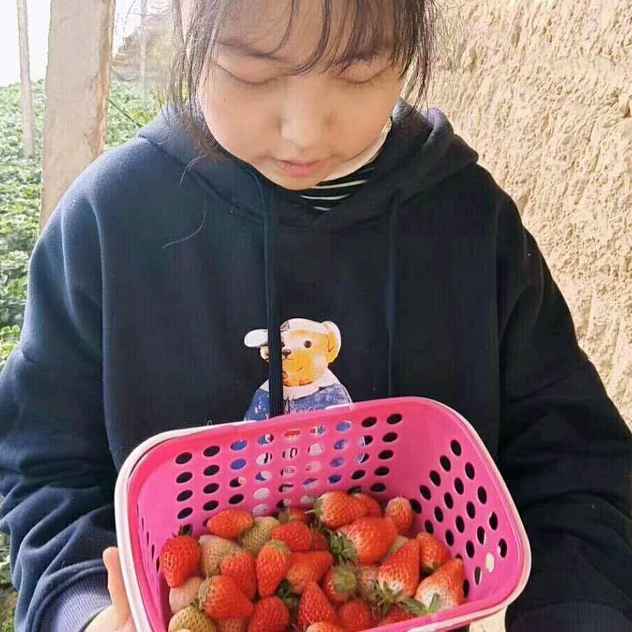 老大