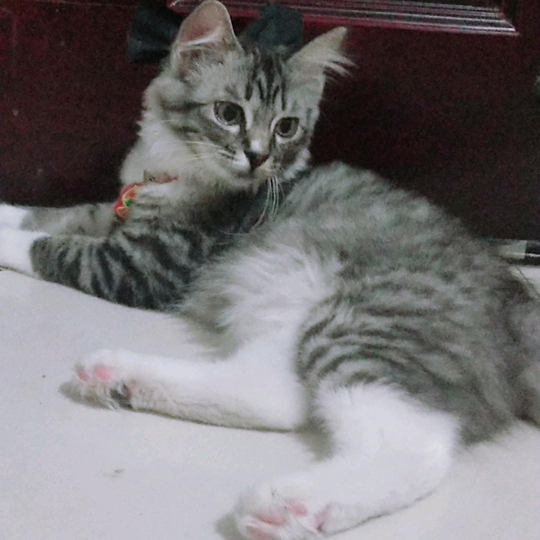 是果冻呀😻