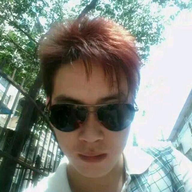 向树书