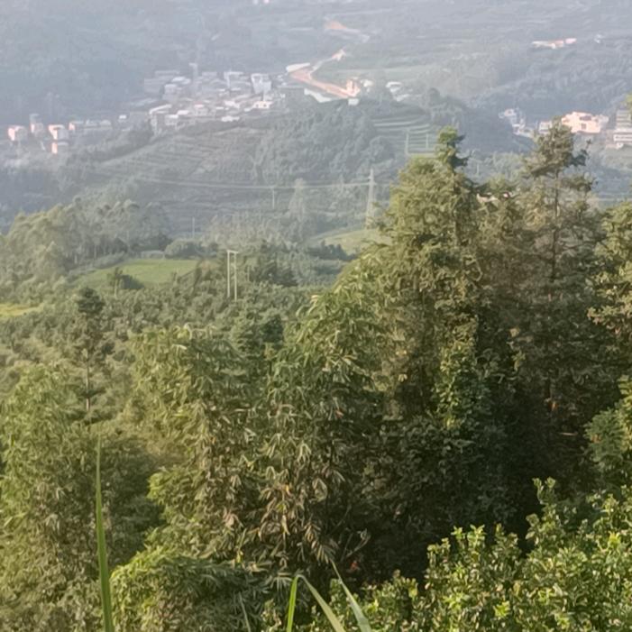 都都