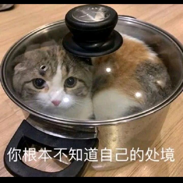 彼阳的晚意，初升的东曦