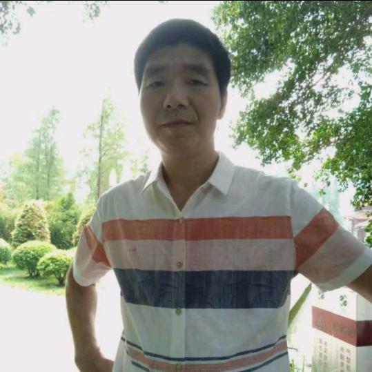 雁南飞