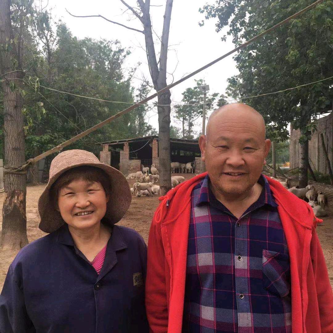 老汤养羊