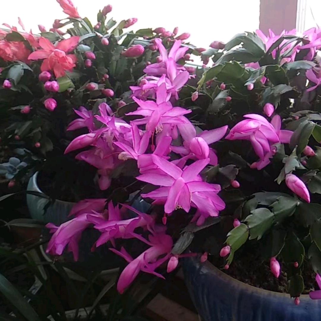 用户3450772757389