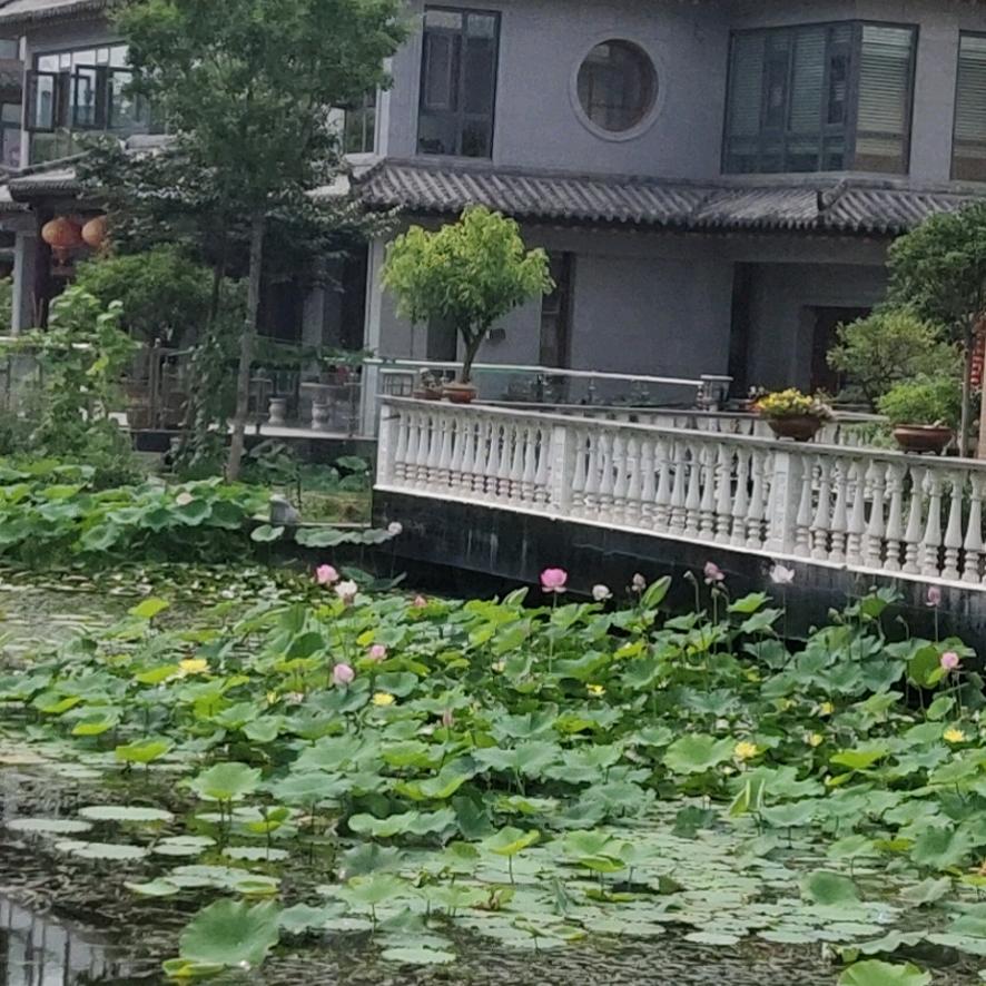 缘来，就是你