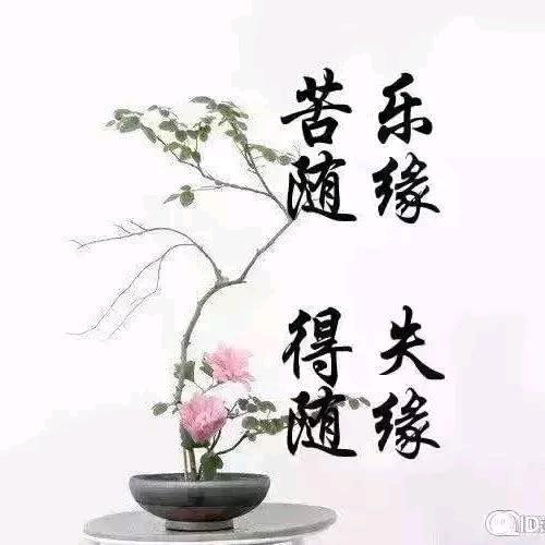 星空下的&诺言