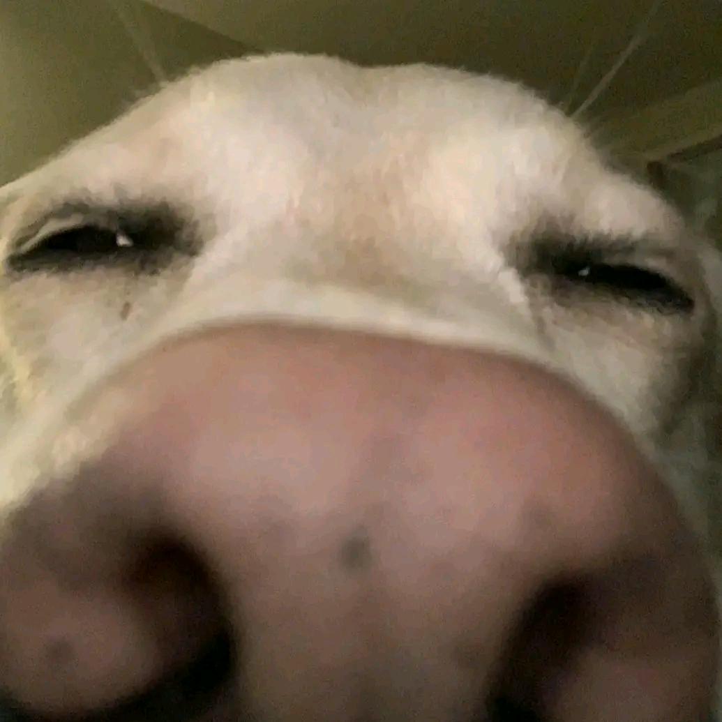 对方正在输入…