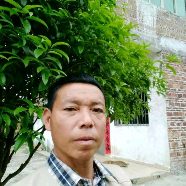 彭哥