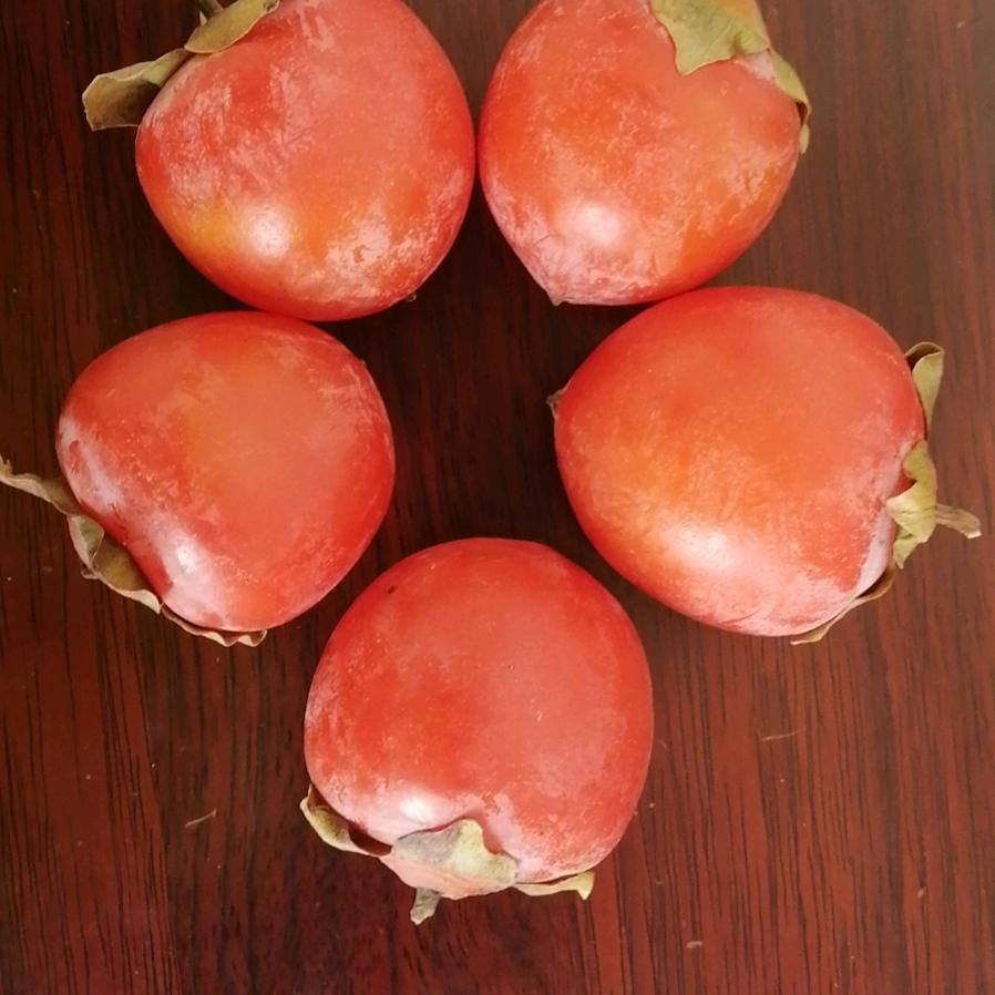 滨湖