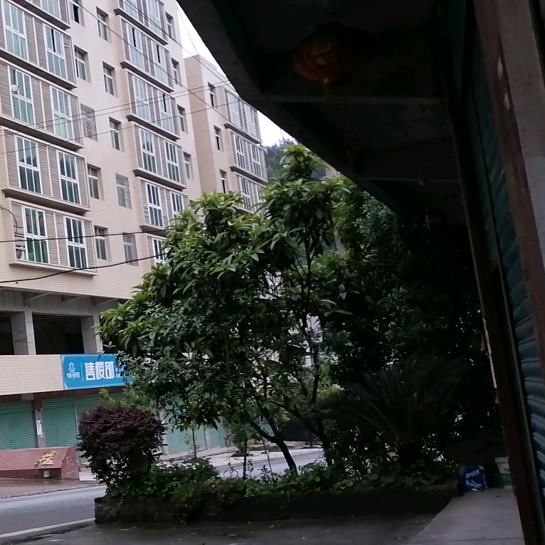 顺其自然