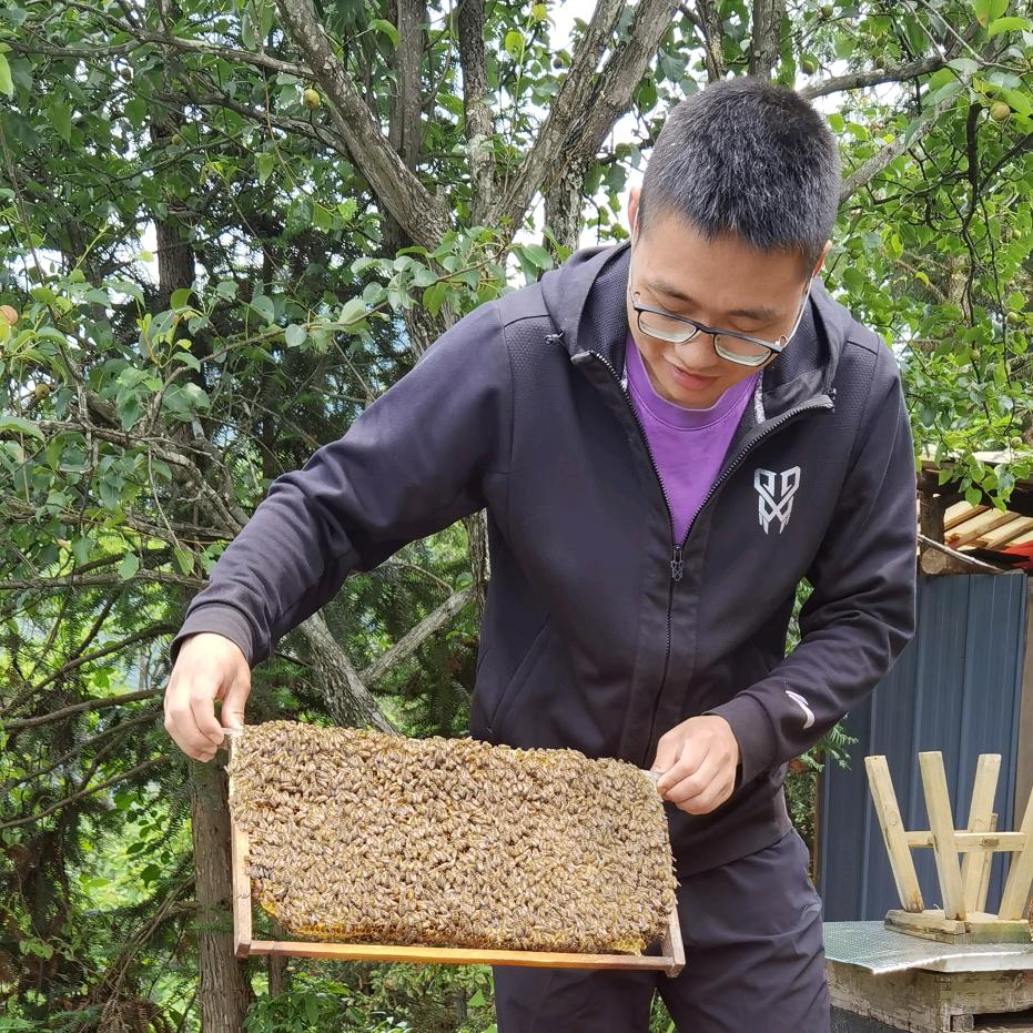 木梨硔八仙客栈