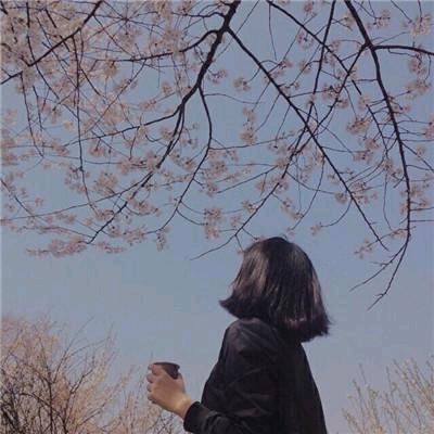 蝶绣