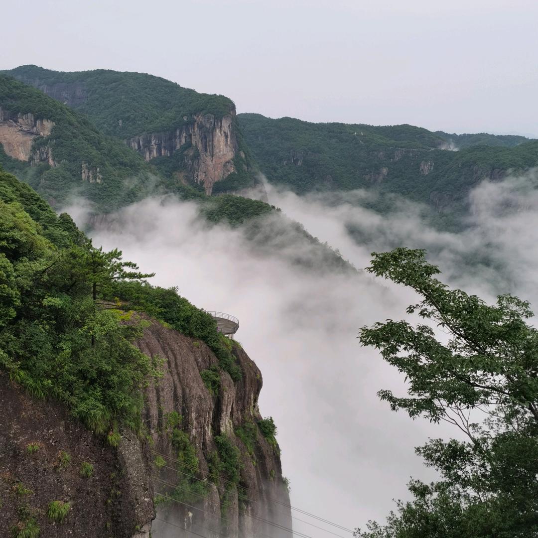 窦豆