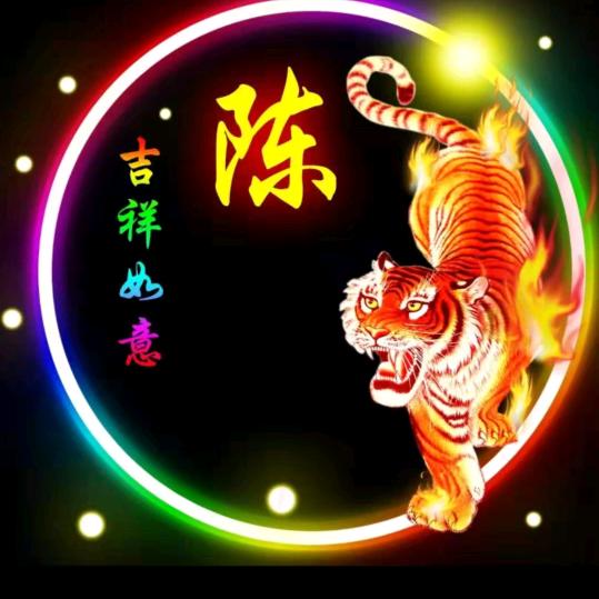 酸甜的杨梅干