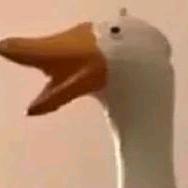 啦啦啦x
