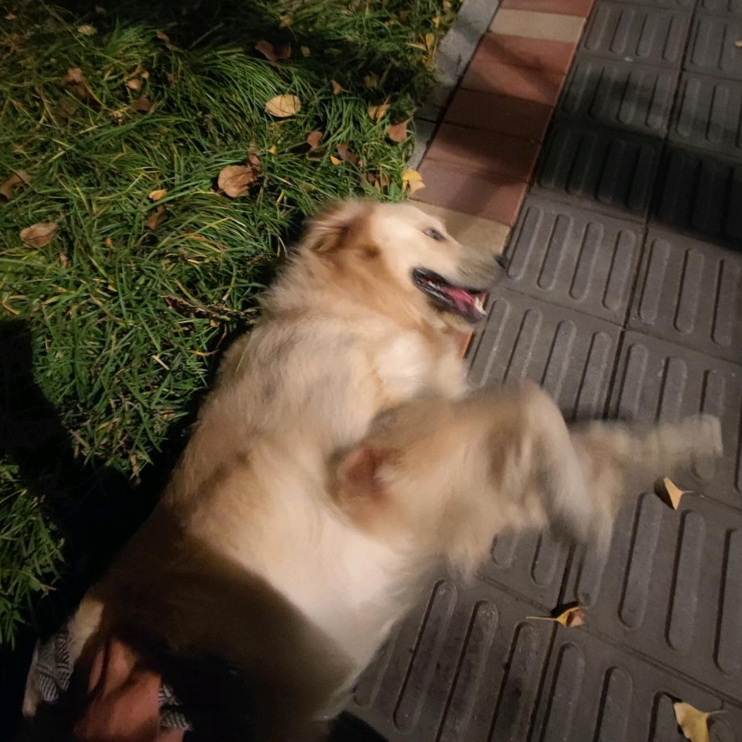 热心网友胡金刚