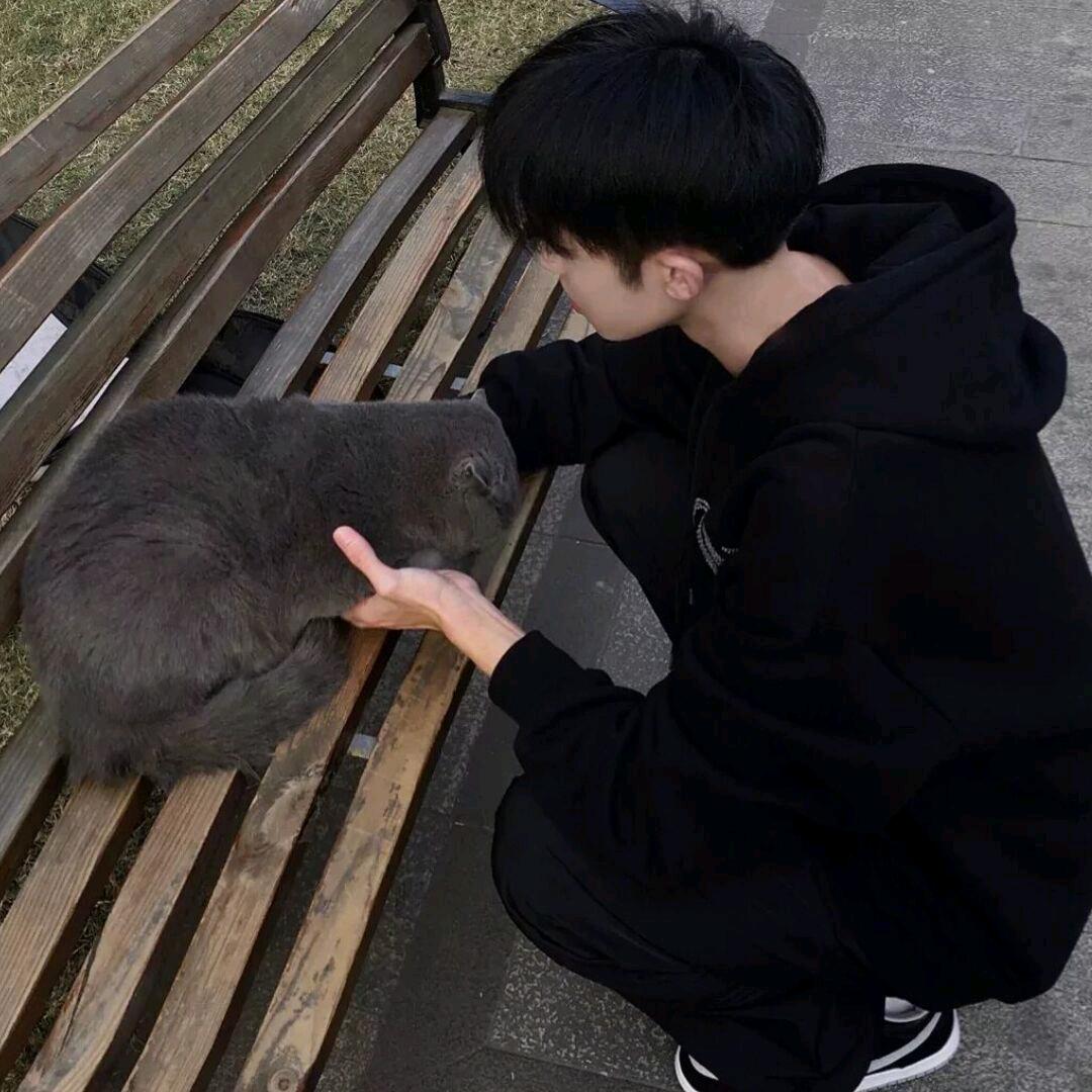 你德嚼气我莱文