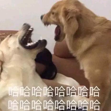 小明的会客厅