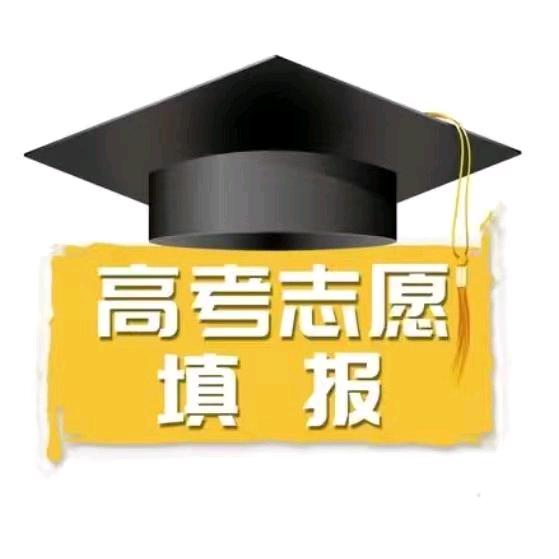吾师聊高考